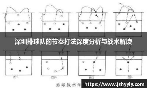 深圳排球队的节奏打法深度分析与战术解读